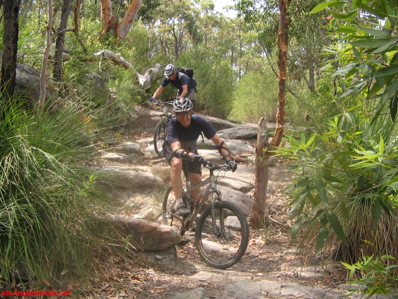 20061210-Lindfield 037 